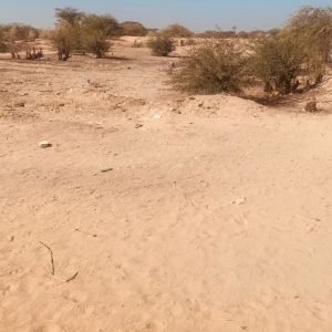 Terrain de 400 m2 à Ndiébéne Toubé ( Gandon )