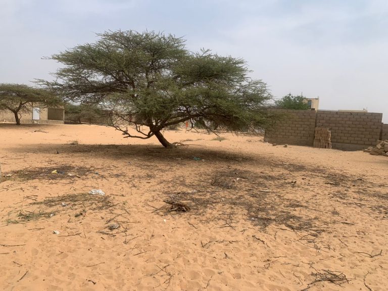 Terrain à vendre à  Ngallele – Image 3