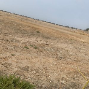Terrain à vendre à Ngallele - Cité Santé