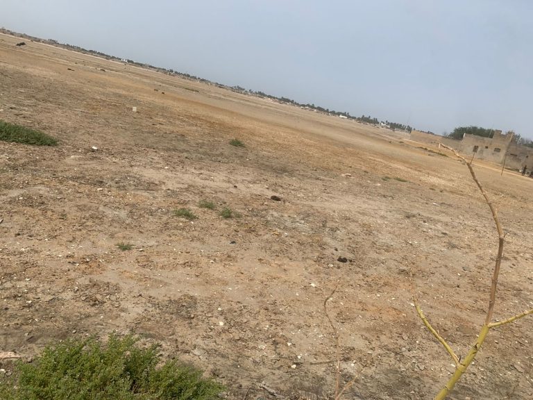 Terrain à vendre à Ngallele - Cité Santé