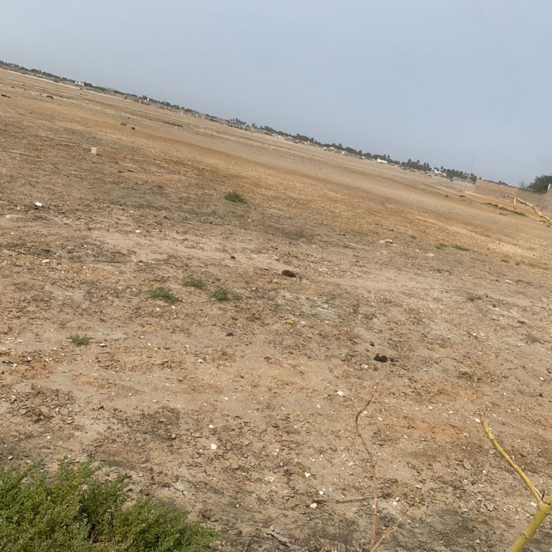 Terrain à vendre à Ngallele - Cité Santé